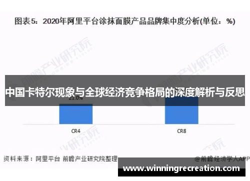 中国卡特尔现象与全球经济竞争格局的深度解析与反思